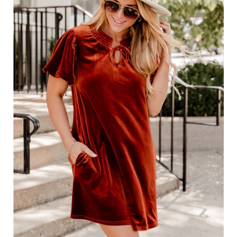 NWT Velvet Rust Dress